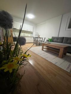 Prishtina Apartments - Pristina - 8