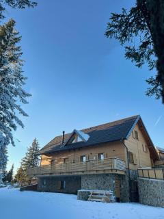 Rogla Alpina Residence - Zreče - 8