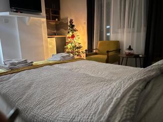 Apartman Lola - Vršac - 9