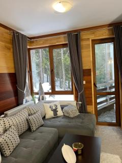 Elizi1winter apartments Pamporovo - Pamporovo - 8