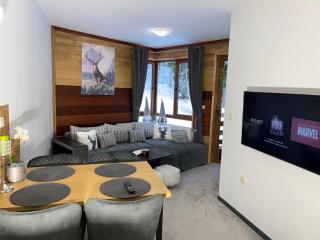 Elizi1winter apartments Pamporovo - Pamporovo - 4
