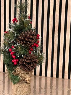 ALMA de Bardenas - 8