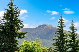 Mountain Majesty on Orchard-Wanaka Holiday Home - Wanaka - 7