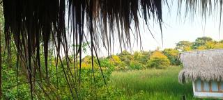 El Viejo del Mar - 9