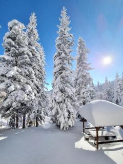 Pogled - Jahorina - 3