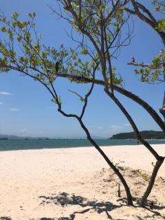 ap amplo com vista para mar com 3 suítes - Florianópolis - 7