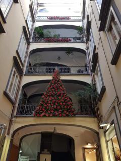 Dimora Chiaia 209 - Naples - 4