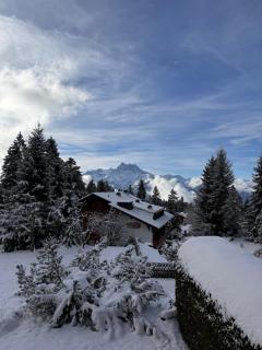 Villars Alpine Heaven - Ski In - Villars-sur-Ollon - 6