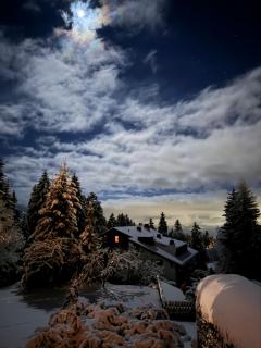 Villars Alpine Heaven - Ski In - Villars-sur-Ollon - 9