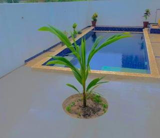 Chez Rama - Ponto - 8