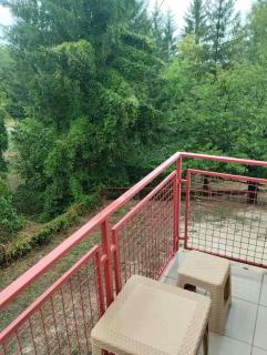 Studio Martin 1 Sokobanja - Park Čuka 2 - 1