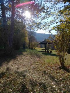 Studio Martin 1 Sokobanja - Park Čuka 2 - Soko Banja - 4