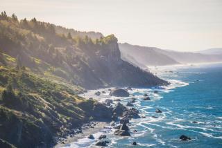 Private Home - Playground, Jumping Mat, BBQ, Darts, Firepit, Gazebo, 4 Smart TVs, White Cotton Bedding, - The Redwood Cul-De Sac Beach Retreat - Crescent City - 5