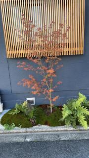 静雅の宿 - Kyoto - 6