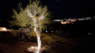 Private Home - Heated Saltwater Pool, BBQ, Pro Pool Table, Horseshoes, Darts, Cotton Bedding, Half Acre - The Joshua Tree Forest - Pool Heat Optional - Twentynine Palms - 5