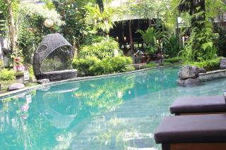 Anumana Ubud Hotel - Ubud - 0
