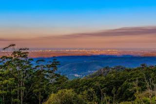 Aetos - Tamborine Mountain - 2