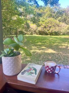 Nature cradled retreat - Mullumbimby - 3