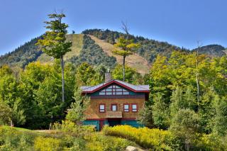 Vistas 92 - 4-Bedroom Luxury Ski On Ski Off Home with Hot Tub, Views, Amenity Center - Killington - 9