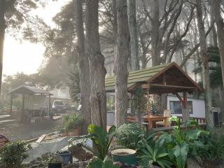 Serene Home Close to Everything - Auckland - 1