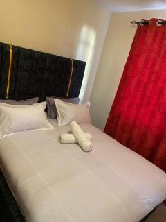 Alset apartments,lower milimani F4 - Nakuru - 5