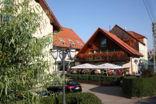 Hotel Bürgerhof - Hohenstein-Ernstthal - 9