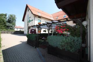 Hotel Bürgerhof - Hohenstein-Ernstthal - 3