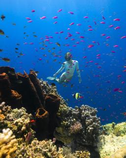 Reconnect - Private Island Resort & Dive Center Togean - Buka Buka Island - Ampana - 1