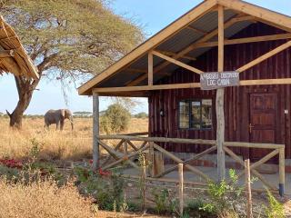 Amboseli Discovery Camp - Amboseli - 1