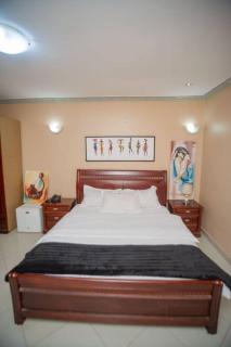 Charming Retreat and Free Breakfast - Lubumbashi - 9