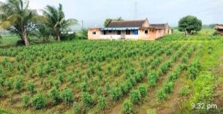 Malshej Tourism International Guest house - Madh - 2