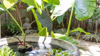 Villa 6 Templemoon, Port Douglas - with private pool - Port Douglas - 4