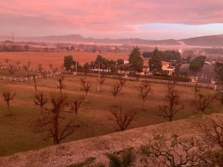B&B Il Tramonto - Pastrengo - 1