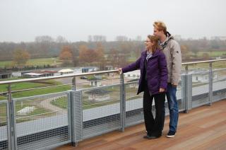 Jugendherberge Hamburg Horner Rennbahn - Amburgo - 6