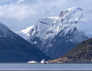 Sognefjord Gjesteheim - Vangsnes - 9