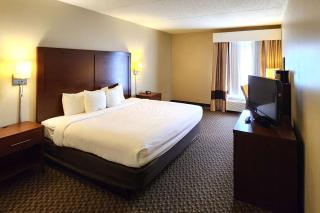 Comfort Inn & Suites Mount Pocono - Mount Pocono - 4