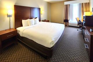 Comfort Inn & Suites Mount Pocono - Mount Pocono - 3