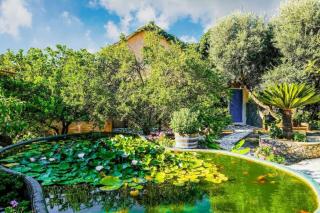 Olive tree Cottages - Palaiochóra - 0
