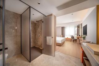 凤凰讴印森林温泉国际酒店 - 5