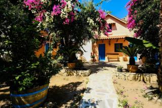 Olive tree Cottages - Palaiochóra - 7