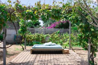 חאן טשרניחובסקי - 6