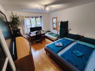 Cozy Central Home with balcony - Basilea - 2