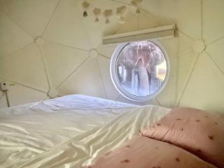 Atto Pension - Seogwipo - 4