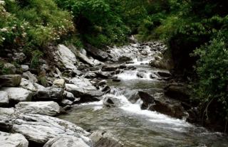 Small Village Pension - Pyeongchang - 2