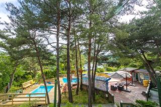 Hoengseong Marshmallow Pool Villa pets allowed - - 7