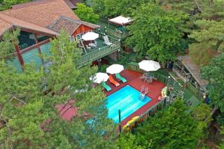 Hoengseong Marshmallow Pool Villa pets allowed - - 1