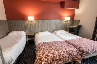 Brit Hotel Confort Foix - 4