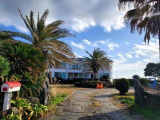 Jeju Ddoolle Pension - 8