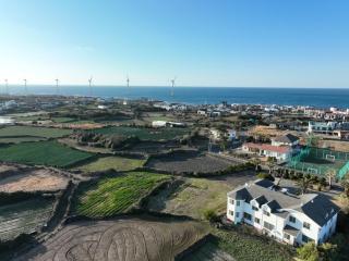 Jeju Ddoolle Pension - 3