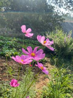 An's home homestay - 1